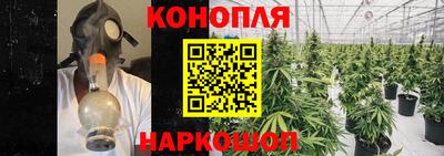 дмт Канаш